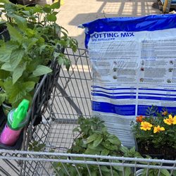 Lowe's Home Improvement - When you only came for Neem Oil! SMH