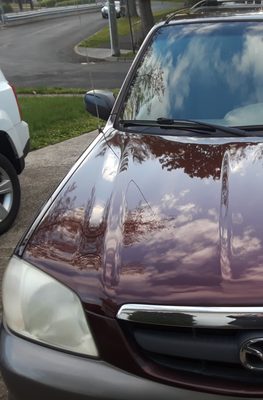 Venice Auto Body & Painting Specialists Inc by null