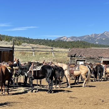 Jake's Horses - Horseback Riding Near Me - Gallatin Gateway, Montana