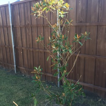 Mike Riley's Landscape - Landscaping Near Me - Dallas, Texas Mike Riley's Landscape - Landscaping Near Me - Dallas, Texas