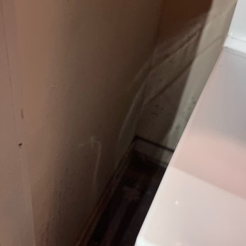 Parliament - Black mold spots behind the washer/dryer unit. Nothing was done to fix this despite repeated claims. - Apartments Near Me - Marietta, Georgia Parliament - Black mold spots behind the washer/dryer unit. Nothing was done to fix this despite repeated claims. - Apartments Near Me - Marietta, Georgia