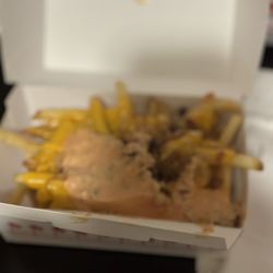 In-N-Out Burger - Animal style fries