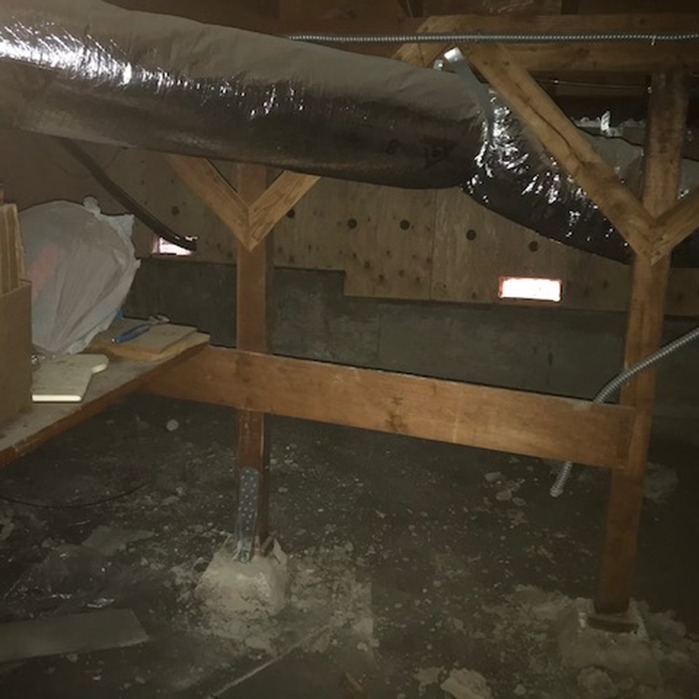 Avant-Garde - Under house work . . . never understood how vulnerable we were! - General Contractors Near Me - San Leandro, California