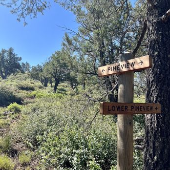 Pine Trailhead - Hiking Near Me - Pine, Arizona