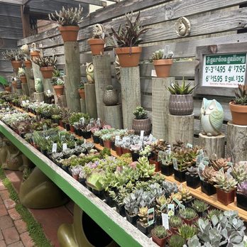 The Garden Gallery - Nurseries & Gardening Near Me - Morro Bay, California The Garden Gallery - Nurseries & Gardening Near Me - Morro Bay, California