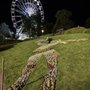 Photo of Jardin Anglais