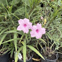 Appletree Landscaping & Garden Center