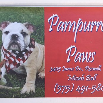 Pampurred Paws - Pampurred Paws Pet Grooming - Pet Groomers Near Me - Hagerman, New Mexico