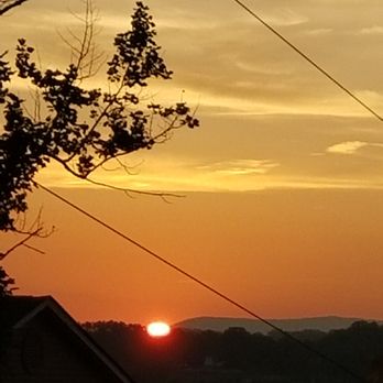 Gregory Tree Service - Tree Services Near Me