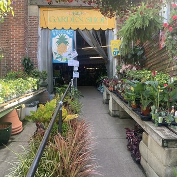Ricky's Flower Market - Florists Near Me - Somerville, Massachusetts
