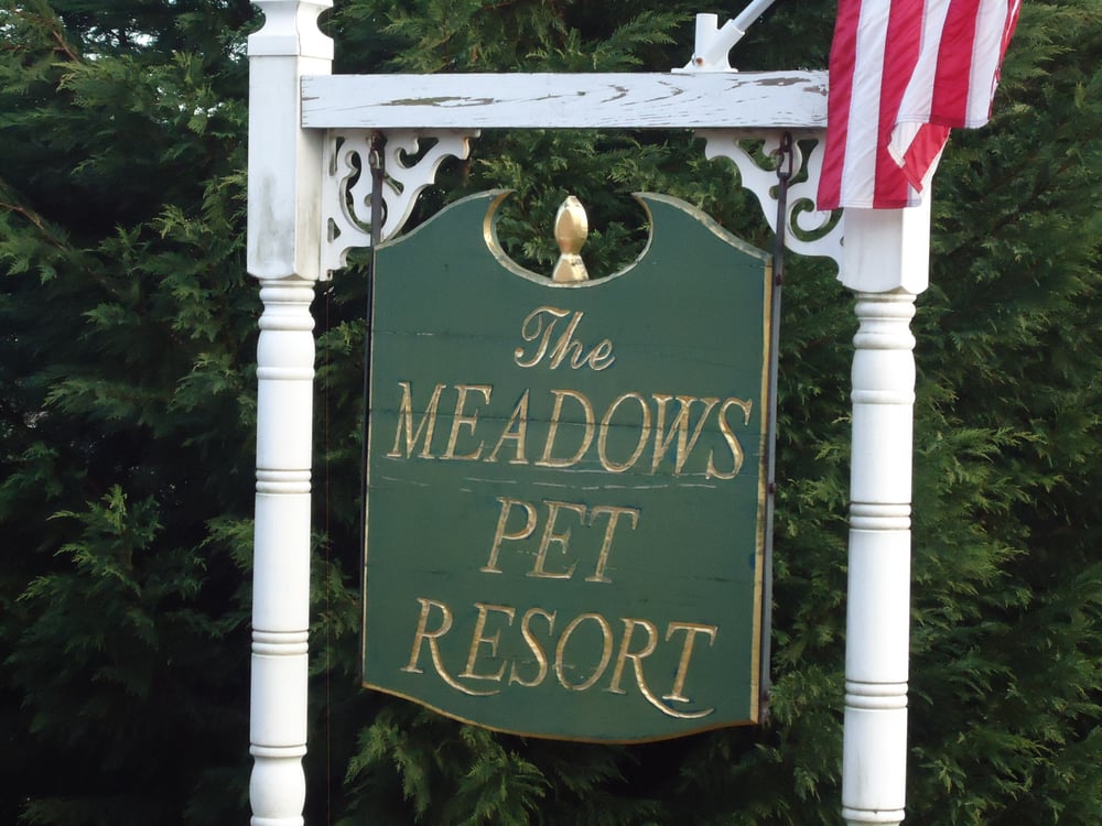 THE MEADOWS PET RESORT Updated September 2024 10 Reviews 805