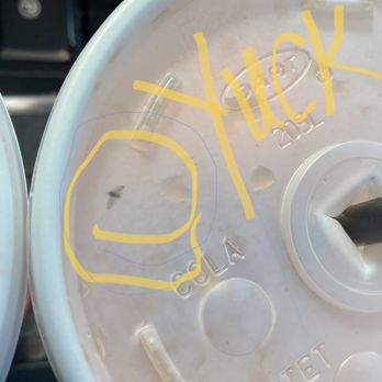 Swig - Closer pic of bug inside the drink under the lid - Desserts Near Me - Draper, Utah