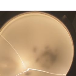 Nest DC - Light fixtures broken and bugs in them upon move in
