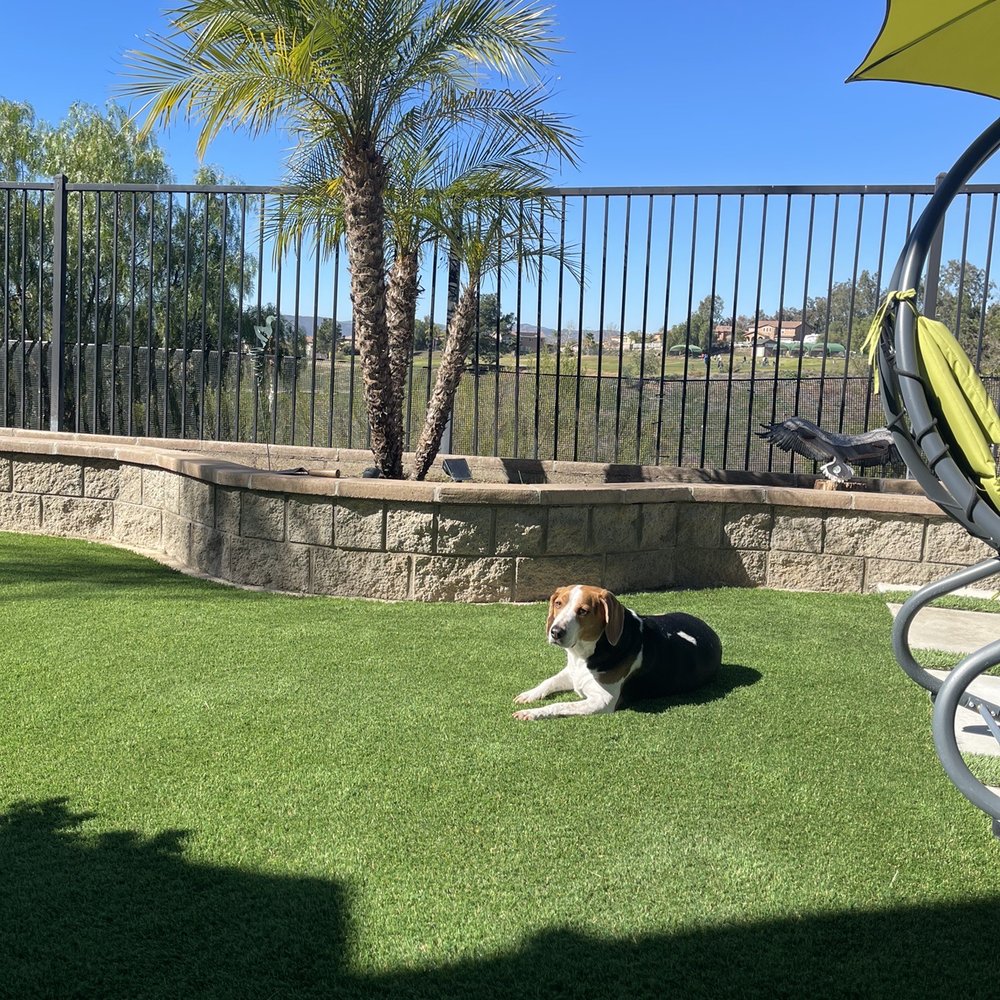 Beautiful turf job! Thank you Vision Turf and Pavers!! Beautiful turf job! Thank you Vision Turf and Pavers!!
