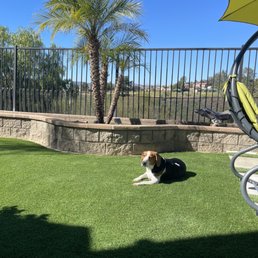 Beautiful turf job! Thank you Vision Turf and Pavers!! Beautiful turf job! Thank you Vision Turf and Pavers!!