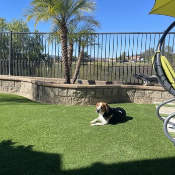 Vision Turf & Pavers - Beautiful turf job! Thank you Vision Turf and Pavers!! - Artificial Turf Near Me - Orange, California Vision Turf & Pavers - Beautiful turf job! Thank you Vision Turf and Pavers!! - Artificial Turf Near Me - Orange, California