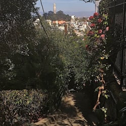 Havens Street - View of Coit Tower from Havens Street