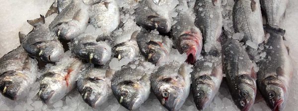 Osler Fish Market by null