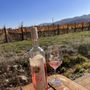 Photo of Pestoni Family Estate Winery