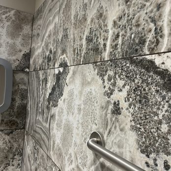 High Tide Steelyard - I thought the bathroom was beautiful. - Seafood Near Me - Chandler, Arizona