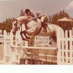 Ascot Farm - Donna while competing in the 1970's