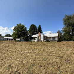 TNE Lawn & Trimming