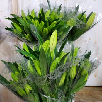 G & J Flower SA - Oriental Lilies - Wholesale Stores Near Me - Santa Ana, California G & J Flower SA - Oriental Lilies - Wholesale Stores Near Me - Santa Ana, California