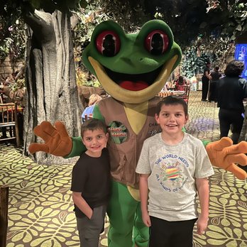 Rainforest Cafe - American Near Me - San Antonio, Texas Rainforest Cafe - American Near Me - San Antonio, Texas