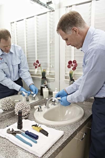 Slide of Levine & Sons