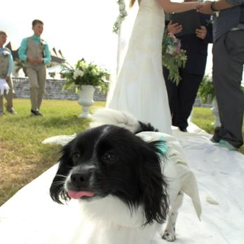 Pastor Rick - I really loved the ring bearer! - Officiants Near Me Pastor Rick - I really loved the ring bearer! - Officiants Near Me