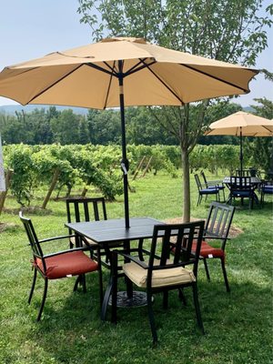 Fjord Vineyards by null