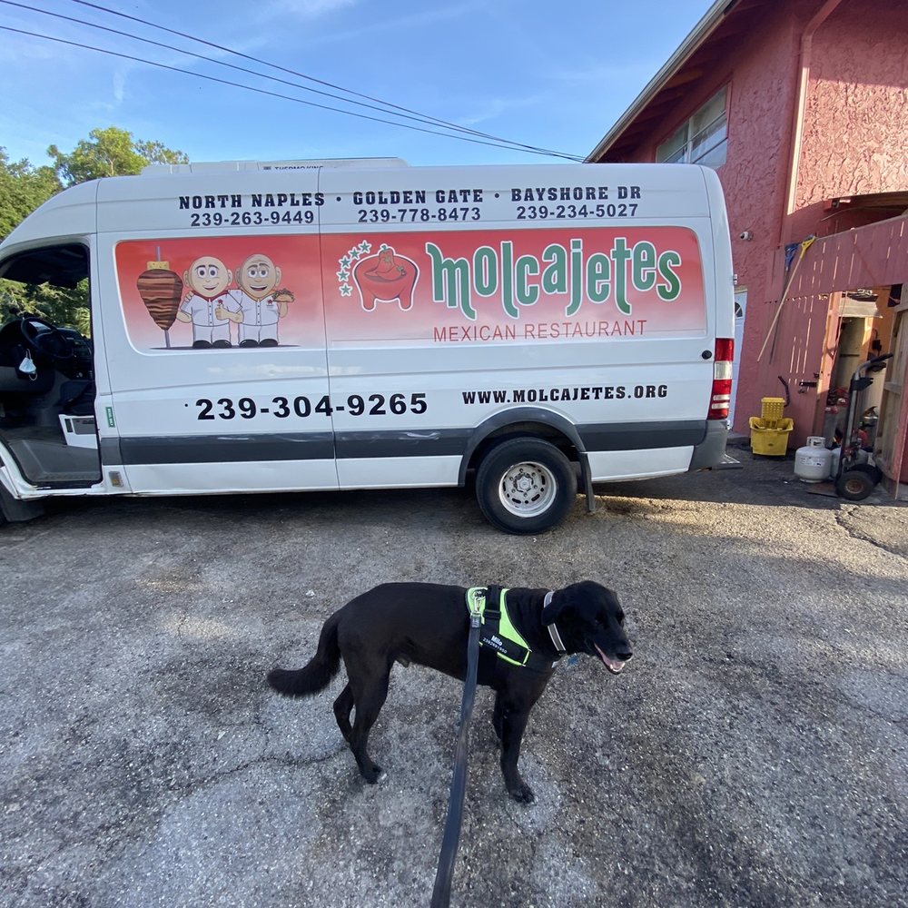 Los Molcajetes Del Valle - a black dog standing in front of a white van - Mexican Near Me - Naples, Florida