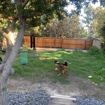 Manuel Landscape - Before - Landscaping Near Me