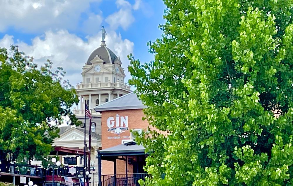 The Gin at Nolan Creek