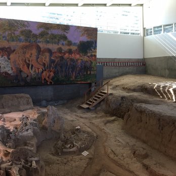 Waco Mammoth National Monument - Museums Near Me - Waco, Texas