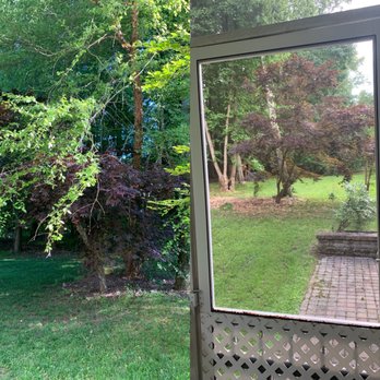 Monkey Tree Service - Before/After - Tree Services Near Me Monkey Tree Service - Before/After - Tree Services Near Me