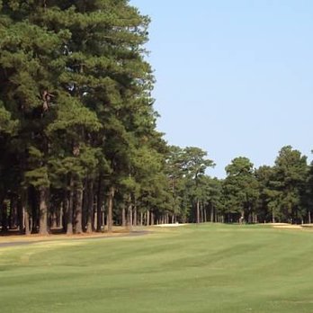 Stumpy Lake Golf Course - a green with trees in the background - Golf Near Me - Virginia Beach, Virginia