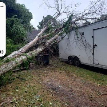 Davis Tree Care And More - Before - Tree Services Near Me - San Leon, Texas Davis Tree Care And More - Before - Tree Services Near Me - San Leon, Texas
