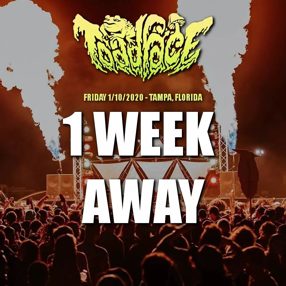 TAMPA KARAOKE VIP 336 Photos & 69 Reviews 930 E Fletcher Ave, Tampa