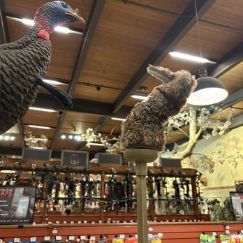 Bass Pro Shops - Outdoor Gear Near Me - San Jose, California Bass Pro Shops - Outdoor Gear Near Me - San Jose, California