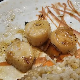 Scallops