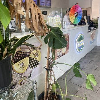 Happy Lemon - Order counter at right. Pick up station at left. - Bubble Tea Near Me - San Ramon, California