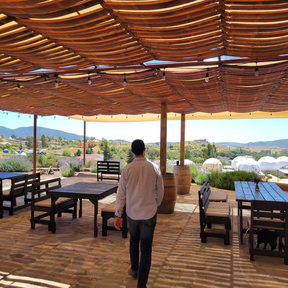 Cava Maciel - Wine Tasting Room Near Me - Ensenada, BCN Cava Maciel - Wine Tasting Room Near Me - Ensenada, BCN