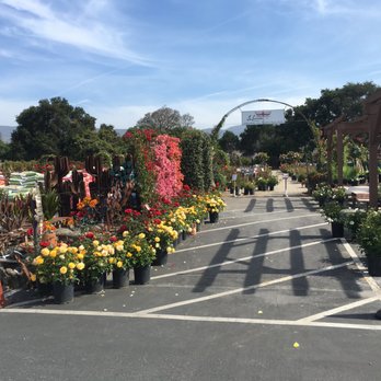 La Sumida Nursery - Nurseries & Gardening Near Me - Santa Barbara, California La Sumida Nursery - Nurseries & Gardening Near Me - Santa Barbara, California