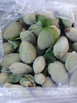 Parisa International Supermarket by null