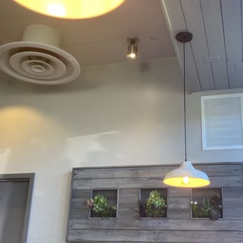 First Watch - Plants - Breakfast & Brunch Near Me - Annapolis, Maryland