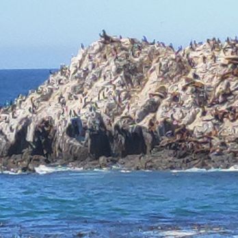 Big Sur Adventures - Bird rock - Bike Rentals Near Me - Pacific Grove, California