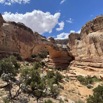 Capitol Reef National Park - Parks Near Me - Fruita, Utah