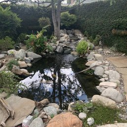 a small pond in the backyard