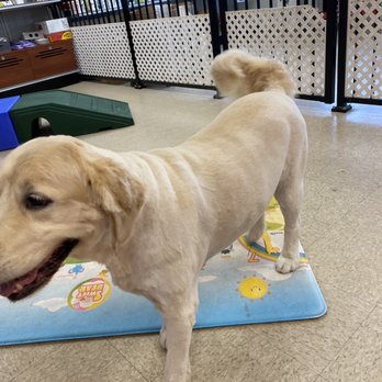 Quebec Highlands Pet Grooming - Pet Groomers Near Me - Highlands Ranch, Colorado